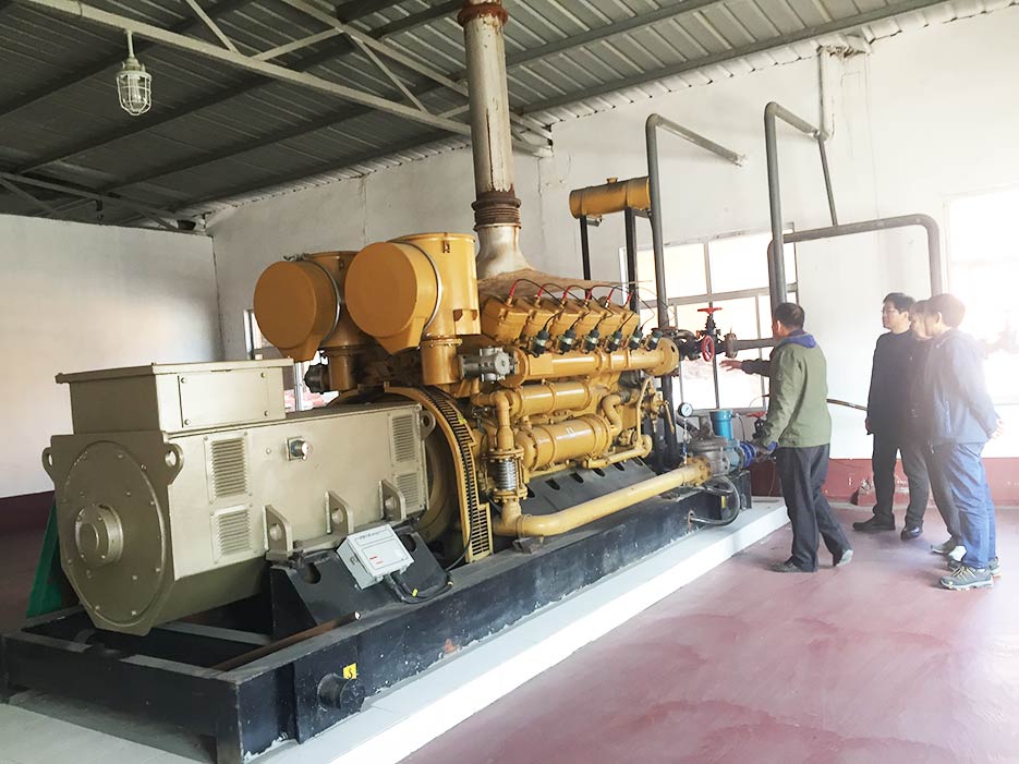 餐廚垃圾沼氣發(fā)電機組