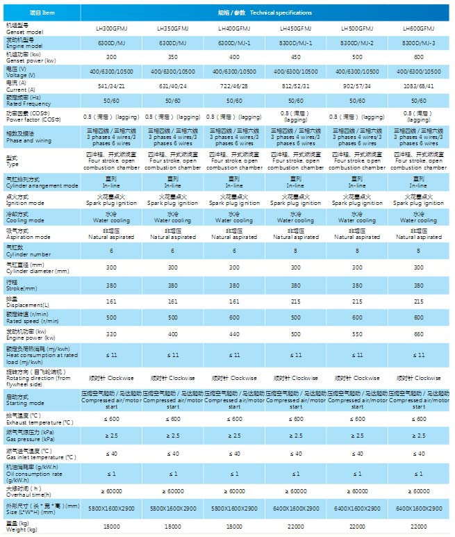 300系列焦化氣發(fā)電機(jī)組
