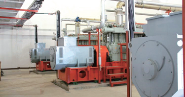 300系列煤制煤氣發電機組