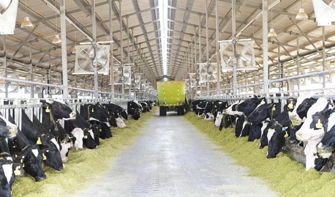 蘇墾優然牧業沼氣發電項目并網發電