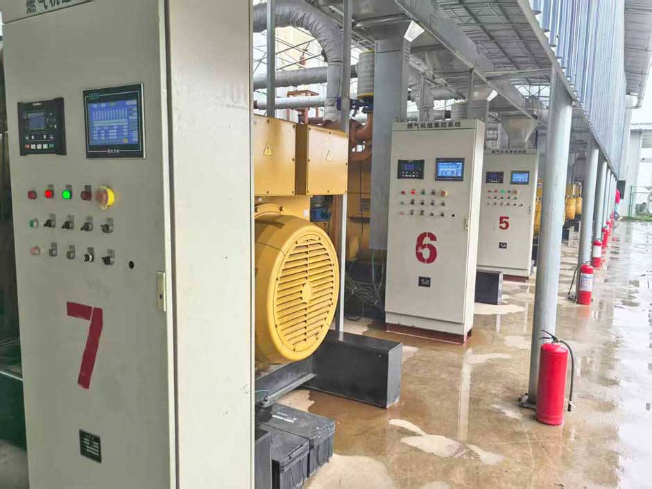 云南省市領導視察綠環(huán)旗下大海子瓦斯發(fā)電電站